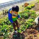 주호 농장 이미지