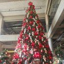 올데이펫 | 춘천 올데이 스테이 카페 후기｜전시회 같은 인테리어, 아이·강아지와 함께 가기 좋은 곳