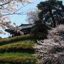 경포호수 4 Daum카페