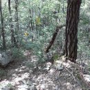 심원사 입구 이미지