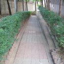 성원아파트 앞 이미지