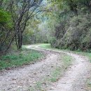 초성4리 마을회관 이미지