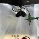 설송원망개떡대구 이미지