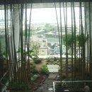 미래로병원 이미지