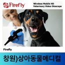 상아 동물메디컬 이미지