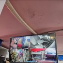 사랑이있는동물병원 이미지