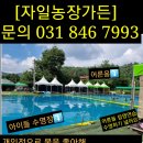 자일농장