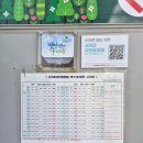 서귀포자연휴양림 | 서귀포자연휴양림 방문후기-노루와함께