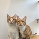 연두민박 이미지