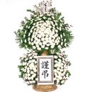 은행정천 이미지