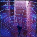 [스몸비] 거미줄에 갗힌 여자 ㅠㅠㅠ 이미지