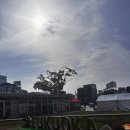 신신라멘 본점, 안도커피 텐진점 다녀온 후기