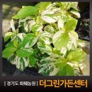 그린농장가든