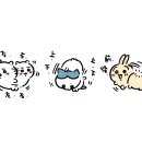 상하좌우