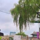 서노하우스 이미지