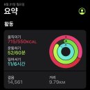 디자인에그 이미지