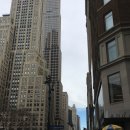 THE NEW CENTER | [미국] 뉴욕공립도서관 'NYPL' 방문 후기 (이용시간/층별안내/코트체크/보관서비스/투어예약방법/로즈룸...