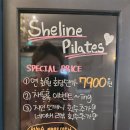 쉬라인필라테스