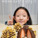 (7세/요리활동) 딸기의 대변신 이미지