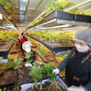 호천농장 이미지