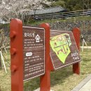 건입동 국민체육센터 앞 이미지