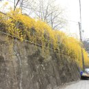 탑골 어린이공원 이미지