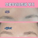 인생눈썹 | 일산 주엽 속눈썹펌 잘하는 미모부심에서 완성한 인생 눈썹! 브로우리프트펌 리얼 후기