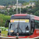 장흥 3리 이미지