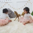 여니스튜디오 이미지
