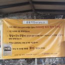 소원별미식당 | [친구들과 공주여행 1일차] 공주알밤축제_곰골식당_제민천 거리포차 (2025.01)