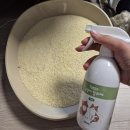독한고양이 | 아니말리 고양이모래탈취제 써본 집사의 솔직 후기와 웃긴 고양이 반응