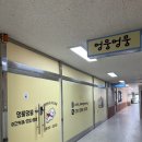 수리한양 아파트 유치원 놀이시설 | 인천 연수동 멍뭉멍뭉 애견카페&amp;돌봄,유치원호텔 주말 방문후기