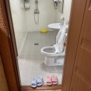 월출산 여우네민박 이미지