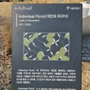 다이닝몰 | 내돈내산후기 IFC몰 마마리다이닝 속초 저염 백명란파스타먹고 여의도공원 서울정원박람회 봄나들이