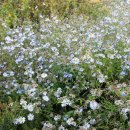 발산보건진료소 이미지