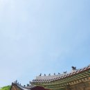 종로-현장-종로-세-185 이미지