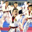 나라찬 태권도 이미지