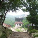 윤씨농장 이미지