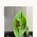 NEW PC CLUB 이미지