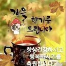 🌹 행복도 심는 것입니다 🌹 이미지