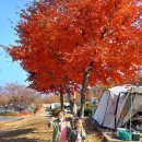 주호목장 이미지