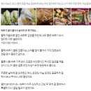 가온길농장 | 2023 해남/대관령 고랭지 절임배추 10kg 20kg best 3_쿠팡