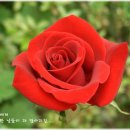 양평동초등학교 이미지