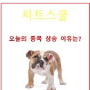 (주)디와이솔루션 이미지