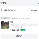 7펜션