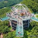 비비아나 펜션 | “하늘 위 절벽을 걷다: 단양 만천하 스카이워크 완벽 가이드”