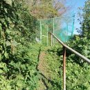 구구랜드 실키팜 이미지