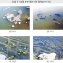 한국정화기술(주) 네이버블로그