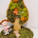 행잉플랜트 공기정화식물체험 이미지