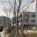 마곡새봄약국 네이버블로그